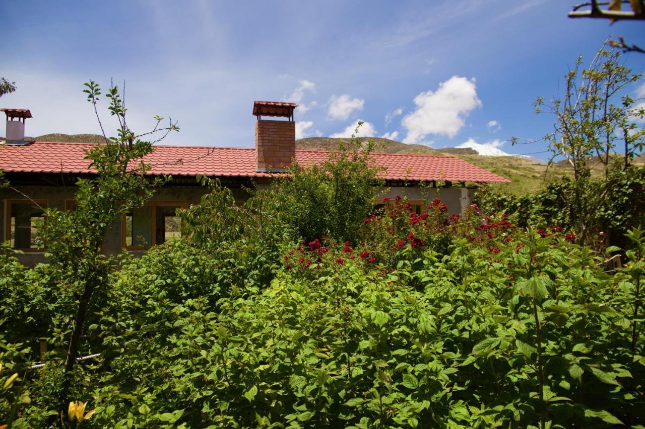 Hostal Vientos Del Altiplano Putre Eksteriør billede