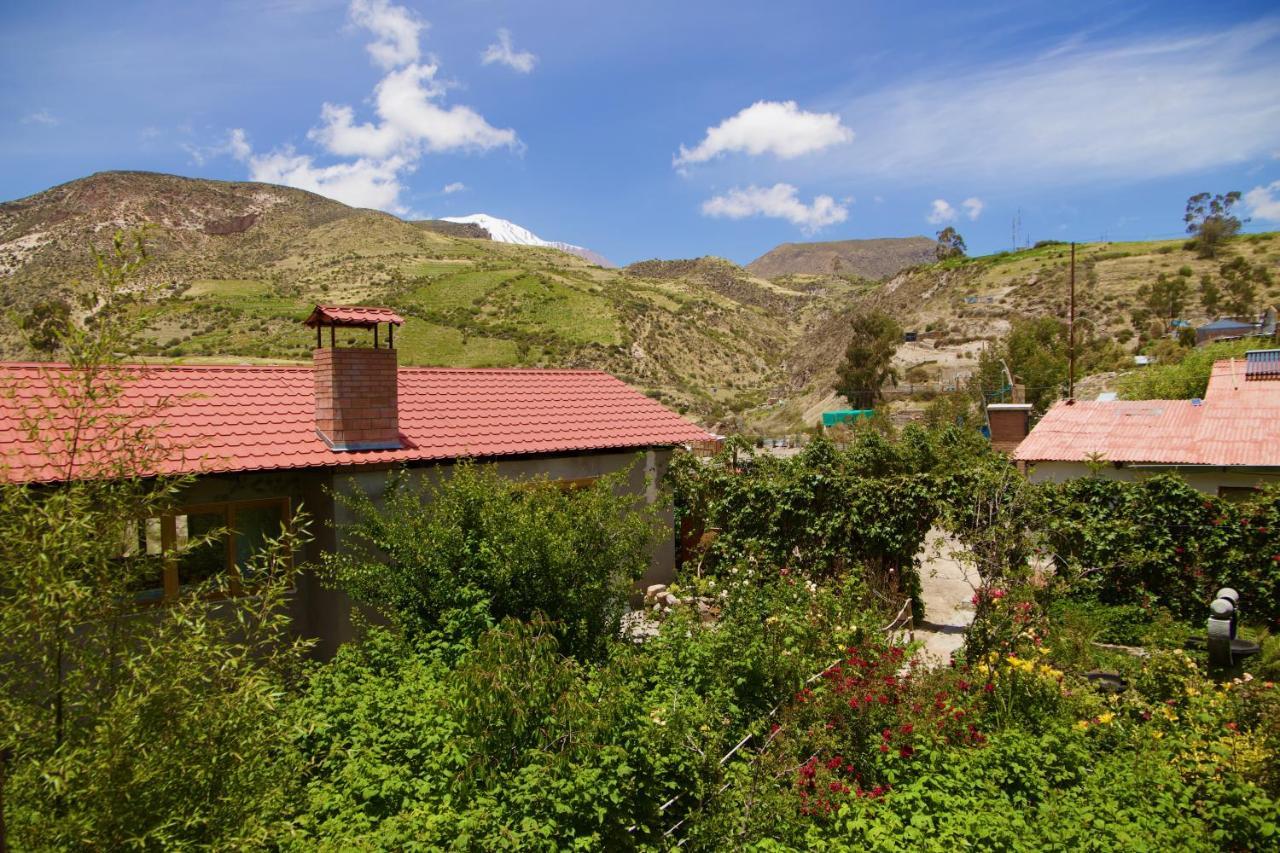 Hostal Vientos Del Altiplano Putre Eksteriør billede