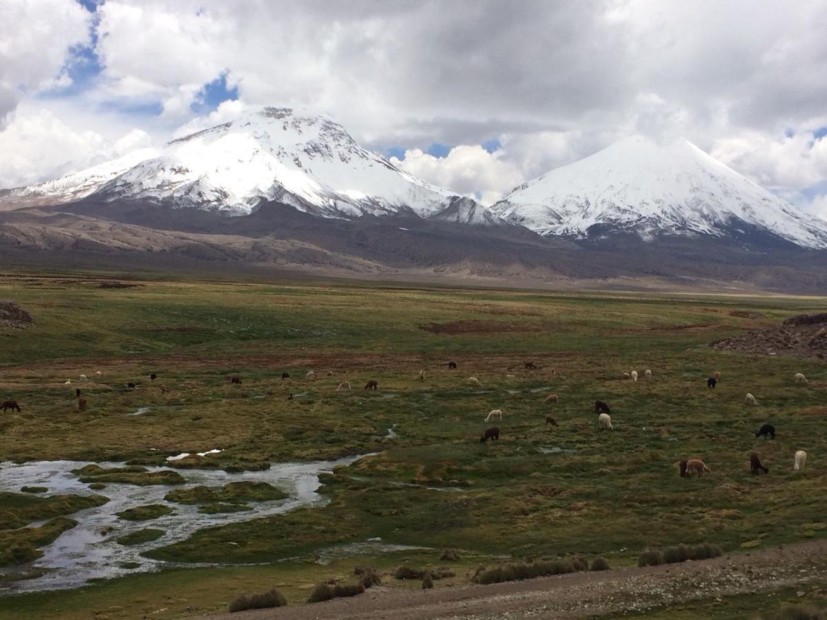 Hostal Vientos Del Altiplano Putre Eksteriør billede