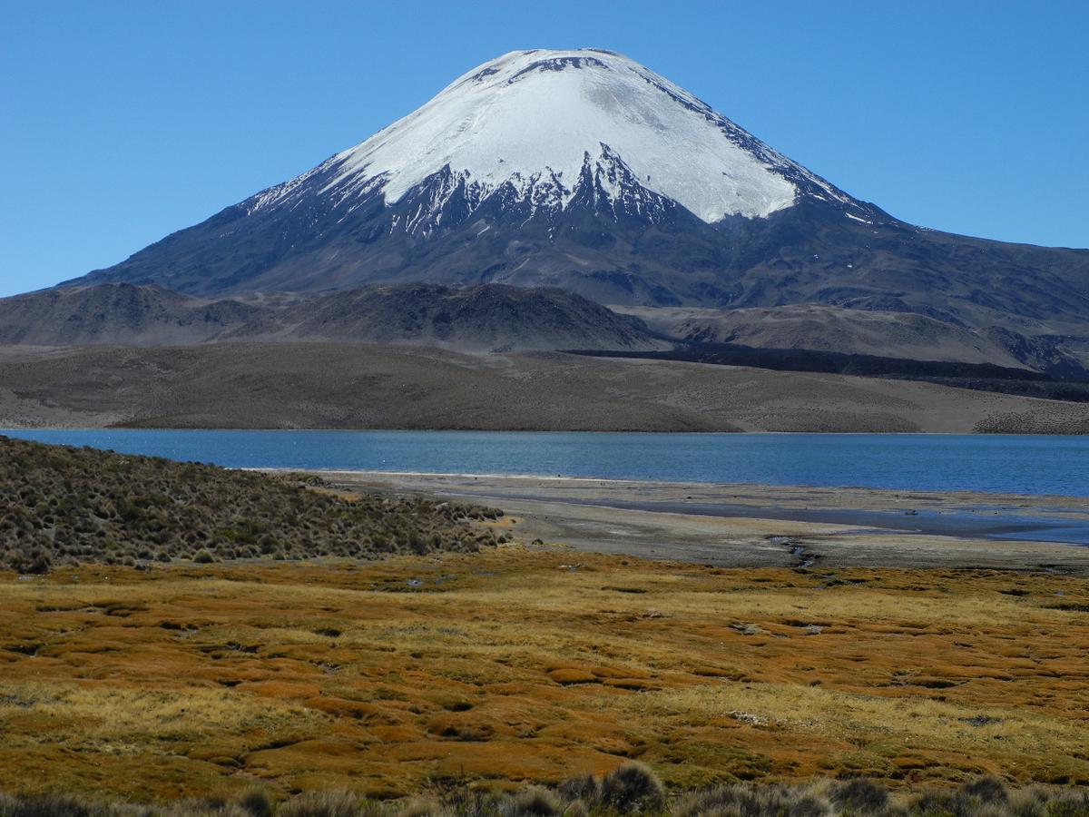 Hostal Vientos Del Altiplano Putre Eksteriør billede
